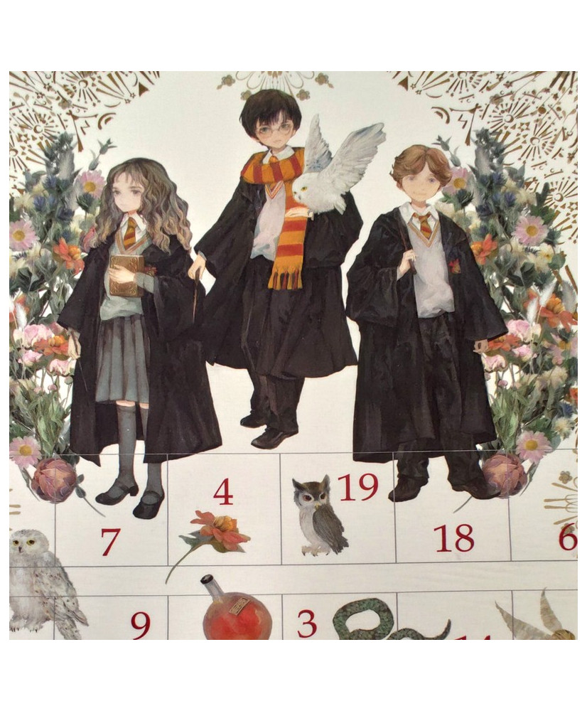 Calendrier de l'avent- Harry Potter